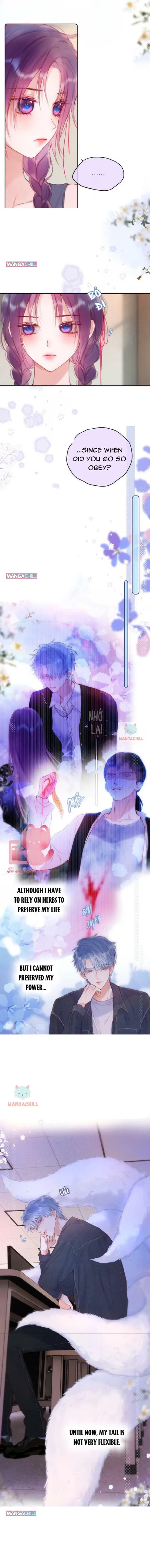 The Fox’s Trap Chapter 35 Online - página 2