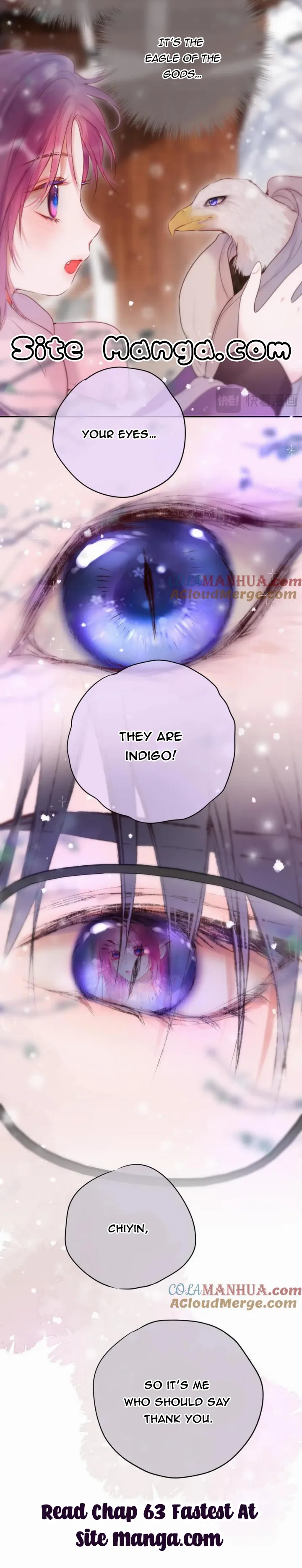 The Fox’s Trap Chapter 62 Online - página 5