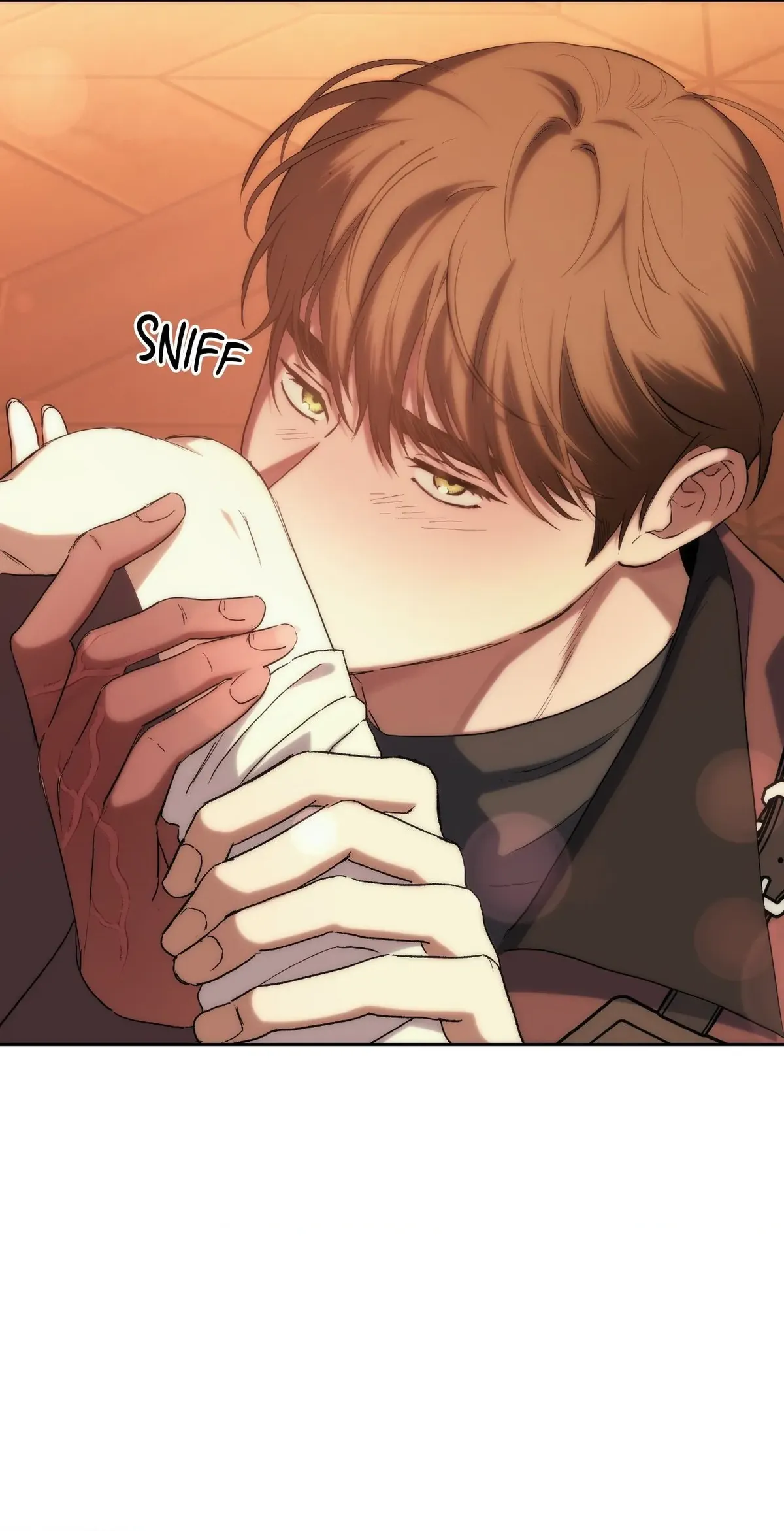 The Golden Wife-in-Law Chapter 36 Online - página 10