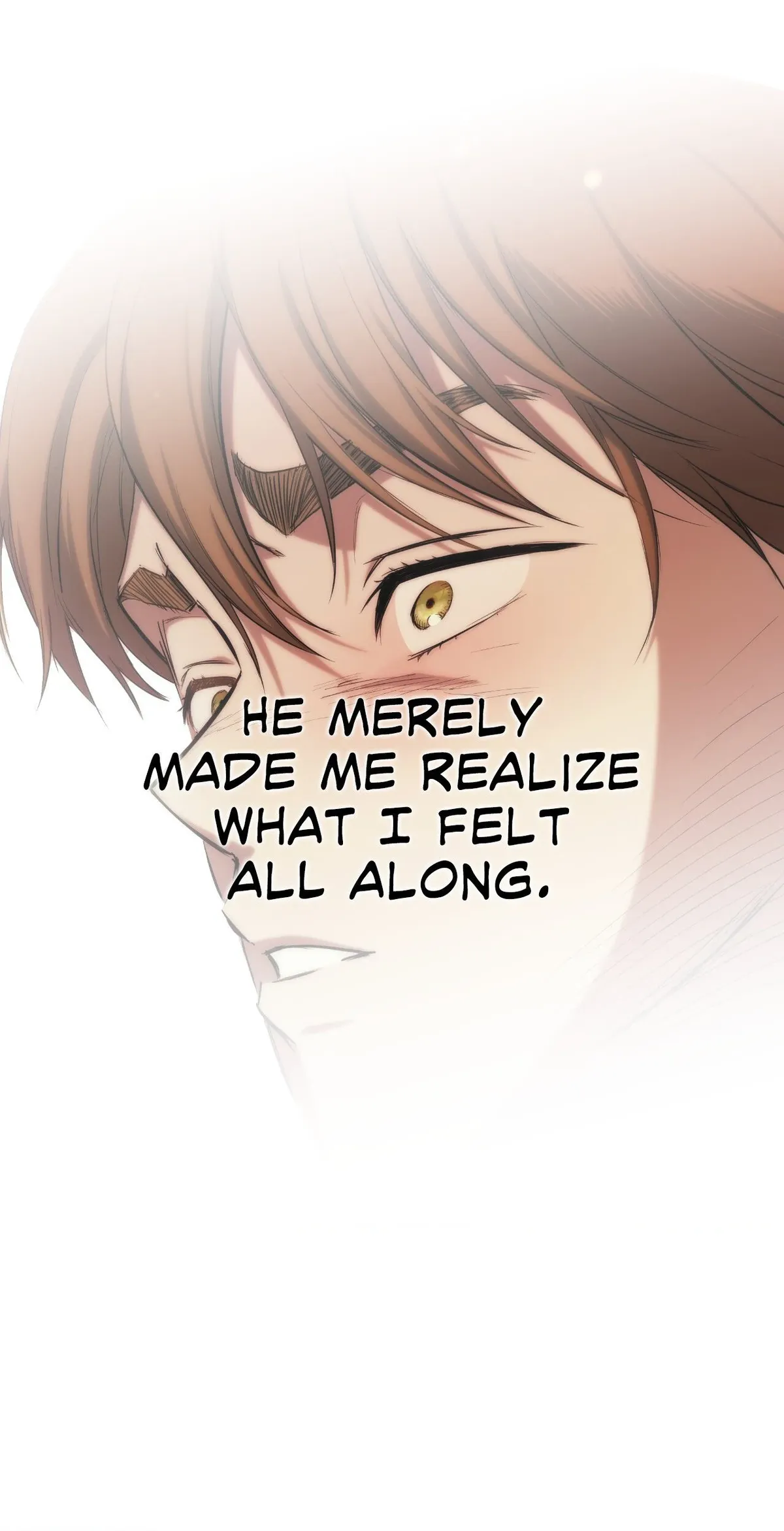 The Golden Wife-in-Law Chapter 36 Online - página 40