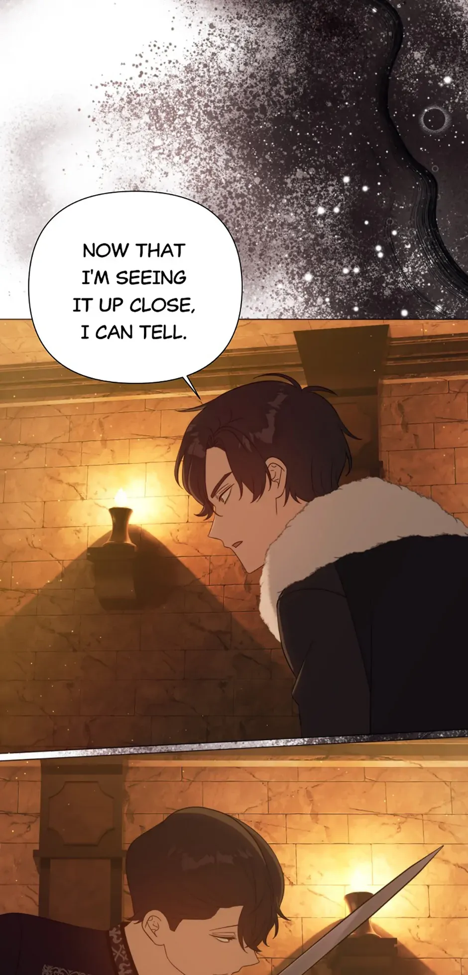 The Grand Duke is Mine Chapter 108 Online - página 74