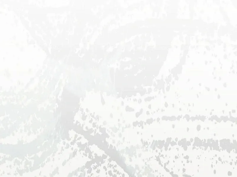 The Grand Duke’s Bride Is a Hellborn Warrior Chapter 31 Online - página 36