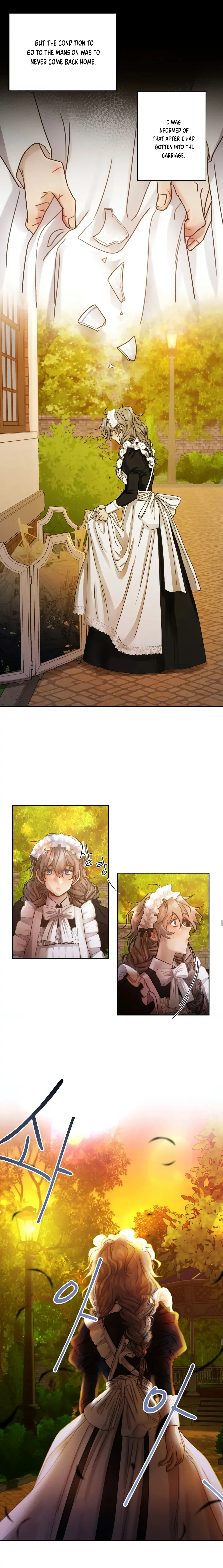 The Gray maid Chapter 1 Online - página 21