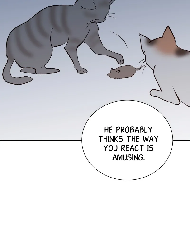 The Guy Upstairs Chapter 19 Online - pƔgina 14