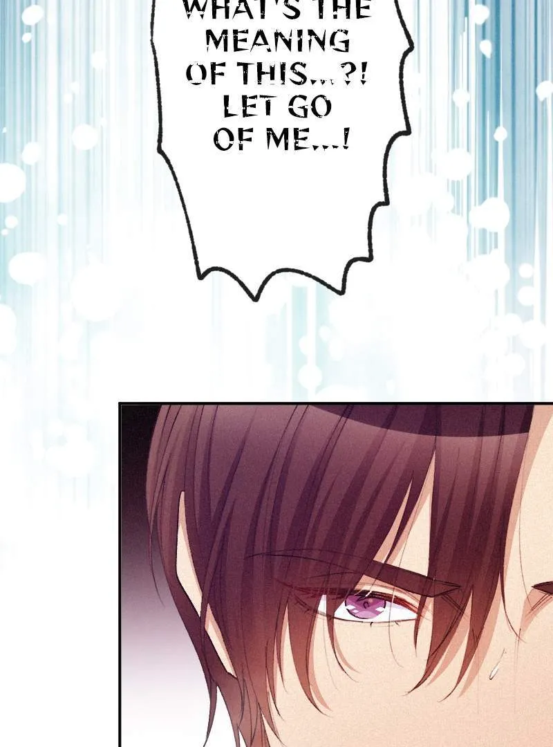 The Heat of the Reincarnated Villainess Chapter 164 Online - página 17