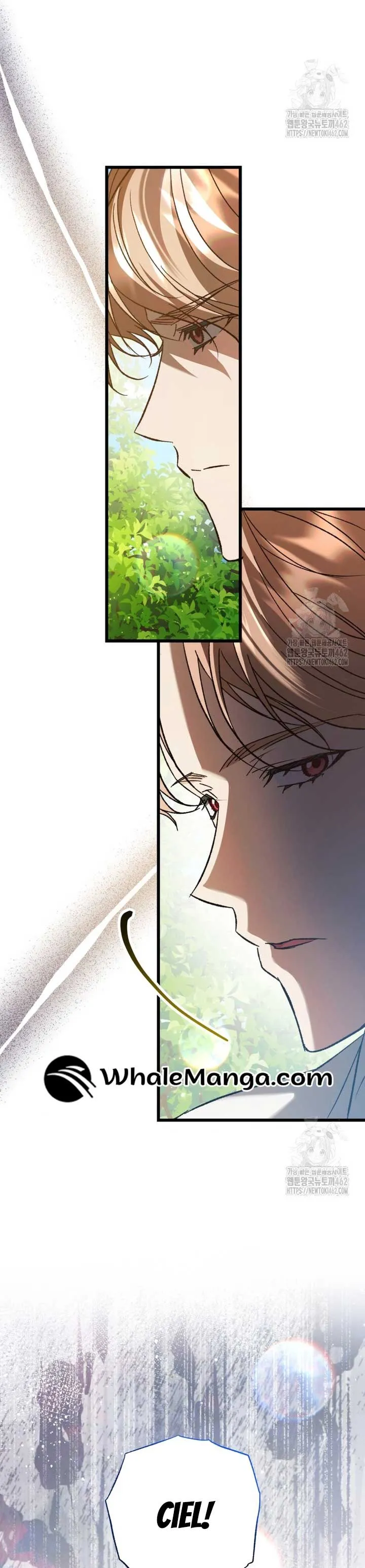 The Hero Proposed to Me Chapter 31 Online - página 13