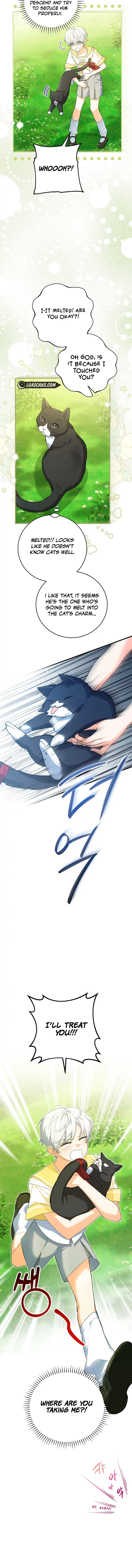 The Heroine Wants Me As Her Sister-in-Law Chapter 43 Online - página 4