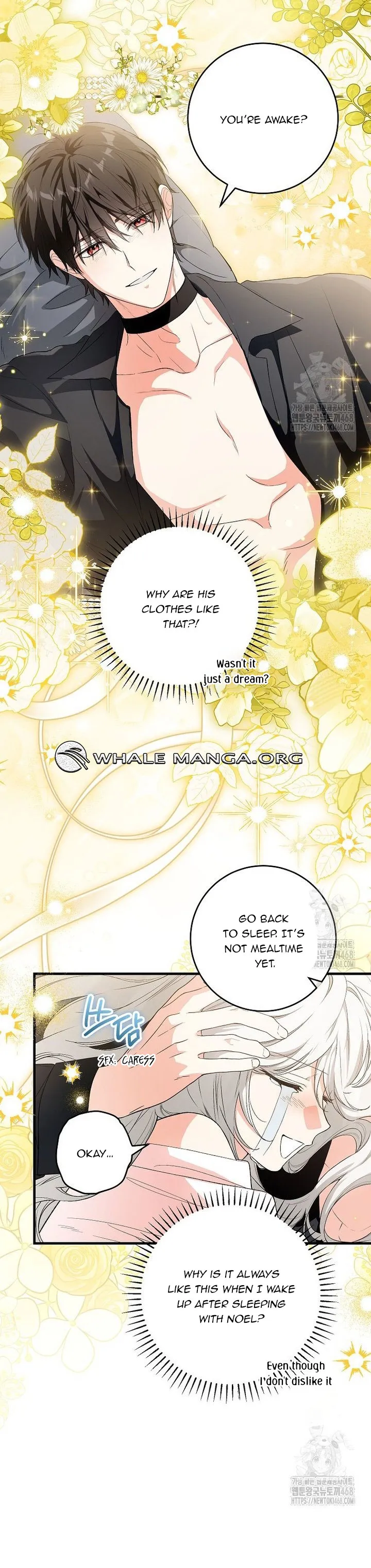 The Heroine Wants Me As Her Sister-in-Law Chapter 70 Online - página 12