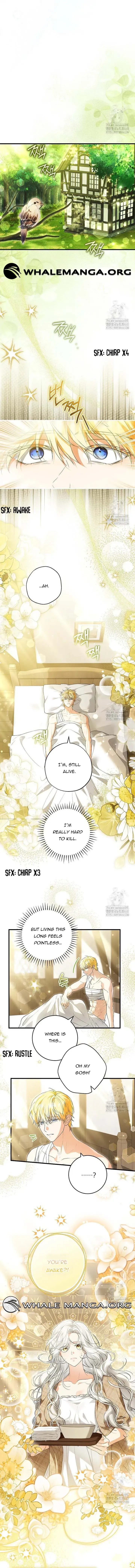 The Heroine Wants Me As Her Sister-in-Law Chapter 74 Online - página 3