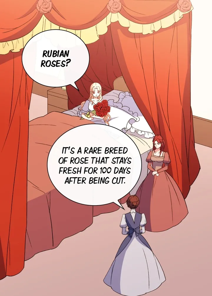 The Justice Of Villainous Woman Chapter 35 Online - página 15