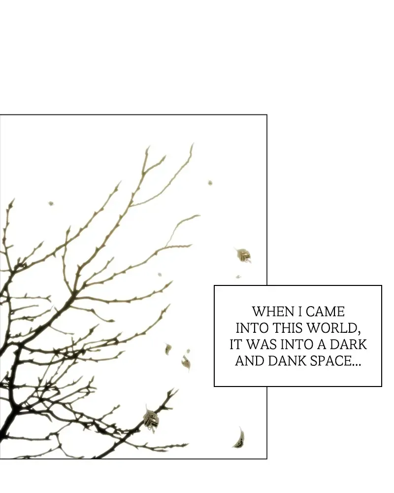 The Killer’s Shopping List Chapter 1 Online - página 4
