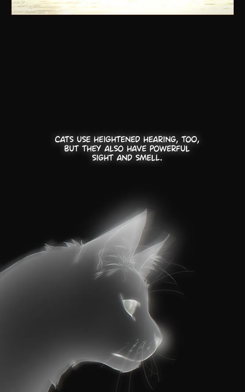 The Last Bloodline Chapter 7 Online - página 19