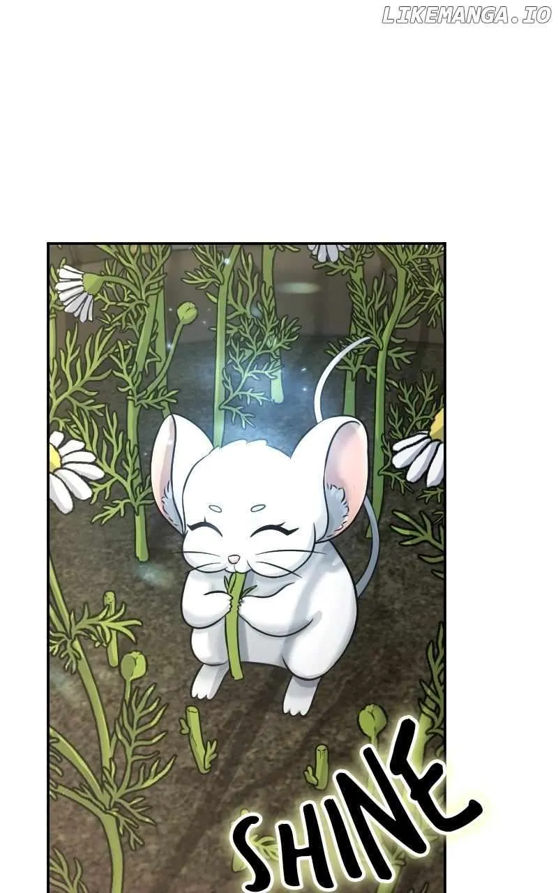 The Laws of Cultivation Chapter 7 Online - página 5