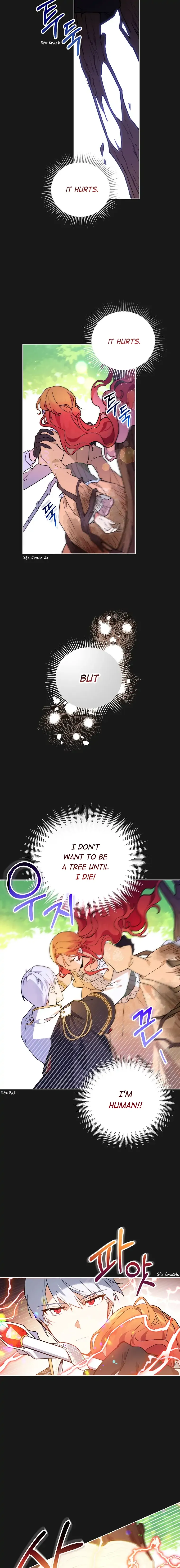 The Little Lord Who Makes Flowers Bloom Chapter 1 Online - página 11