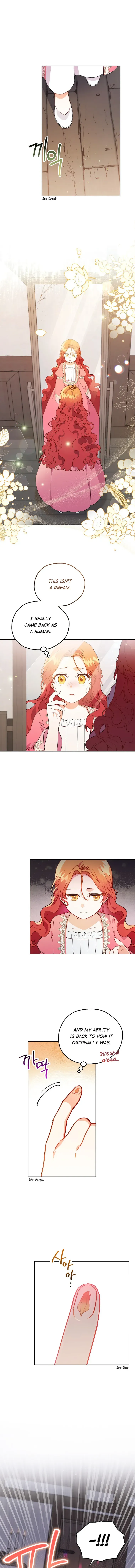The Little Lord Who Makes Flowers Bloom Chapter 2 Online - página 12