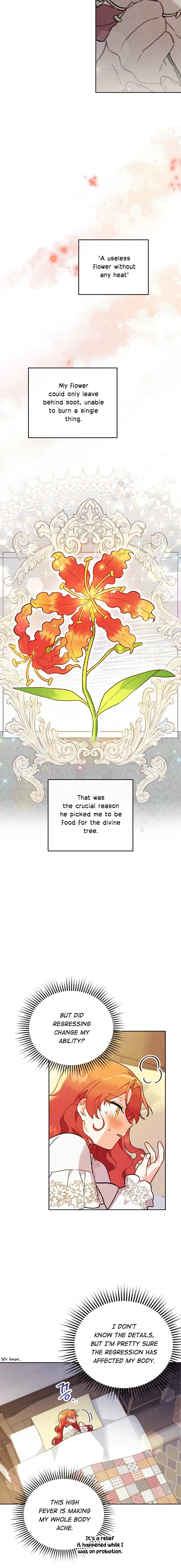 The Little Lord Who Makes Flowers Bloom Chapter 3 Online - página 14