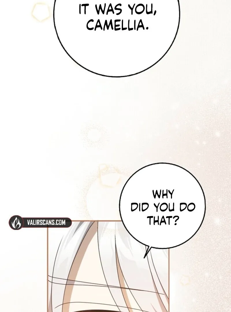 The Lost Cinderella Chapter 83 Online - página 72