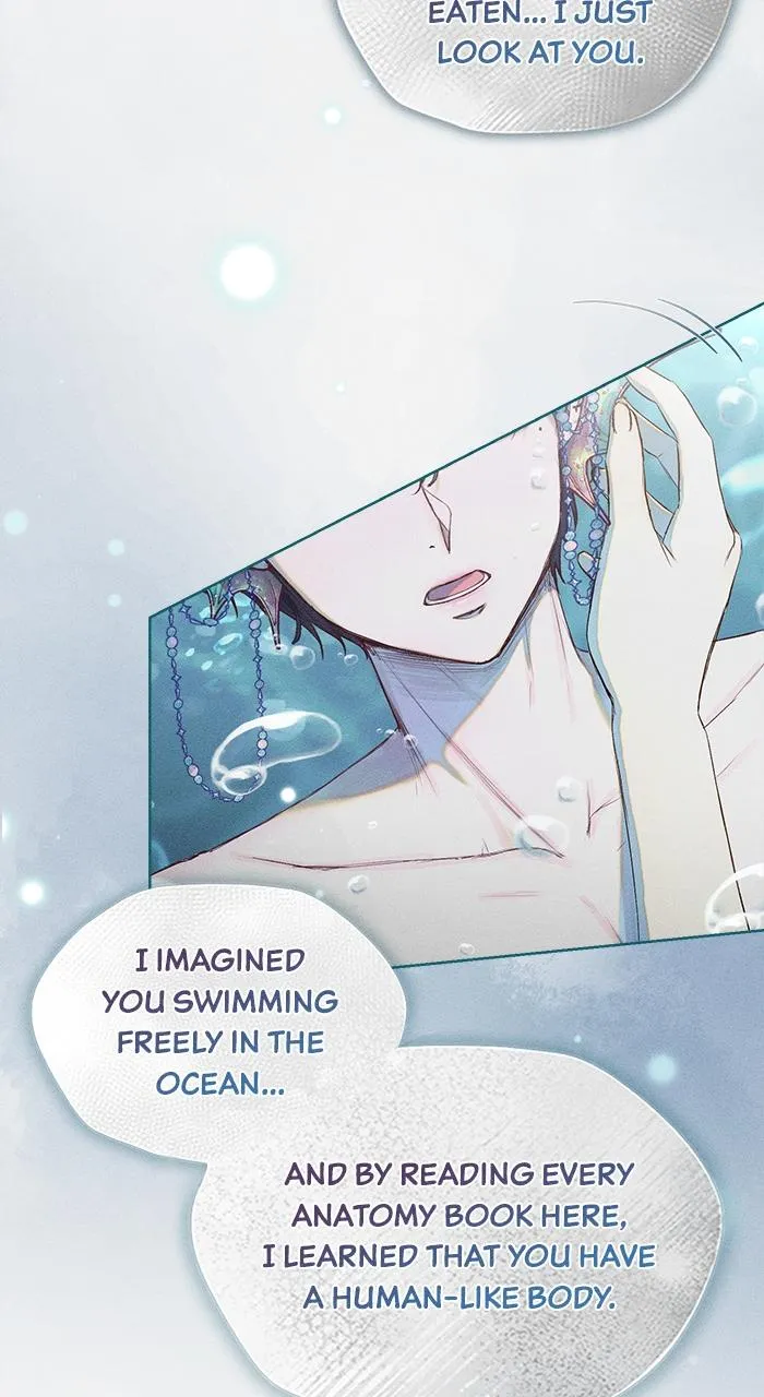 The Merman Trapped in My Lake Chapter 2 Online - página 45