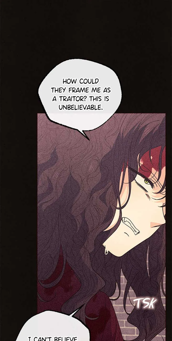 The Monster Duke Mistook Me for His Wife Chapter 22 Online - página 17