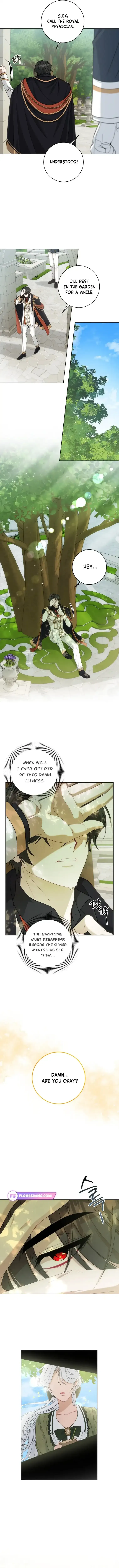 The Obsessive Emperor’s Capable Pharmacist Chapter 12 Online - página 10