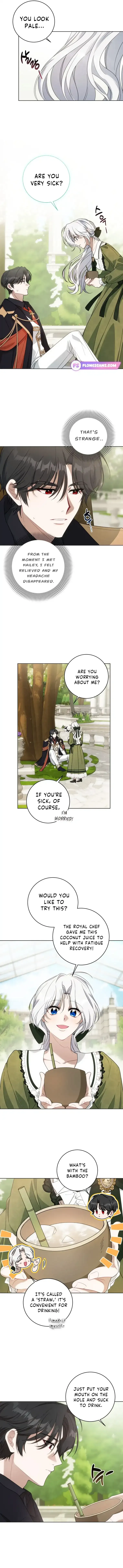 The Obsessive Emperor’s Capable Pharmacist Chapter 13 Online - página 3