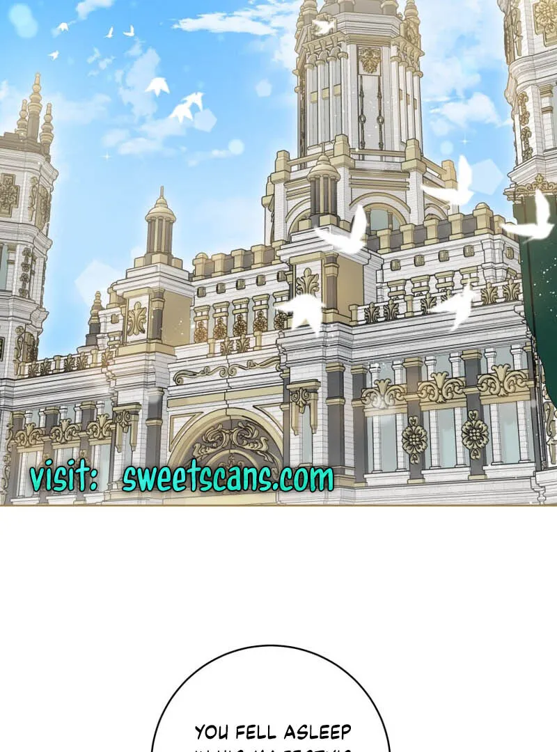 The Obsessive Emperor’s Capable Pharmacist Chapter 2 Online - página 2
