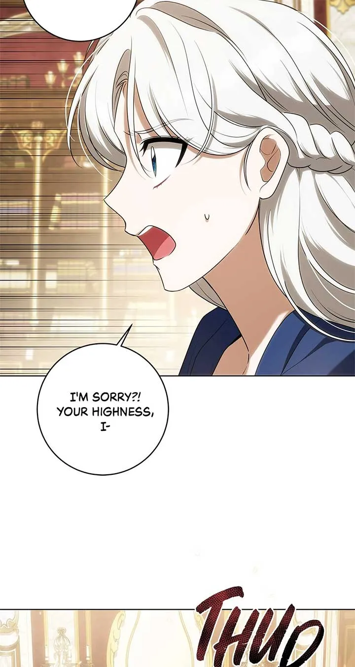 The Obsessive Emperor’s Capable Pharmacist Chapter 28 Online - página 17