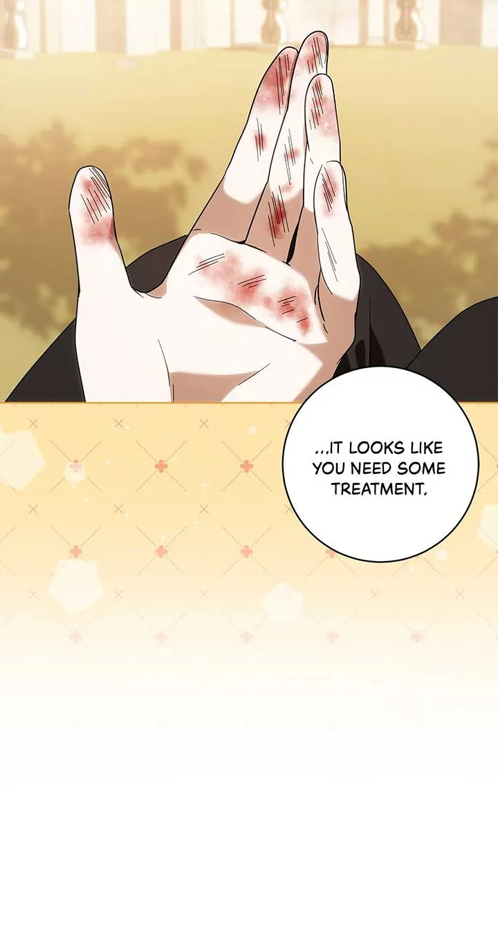 The Obsessive Emperor’s Capable Pharmacist Chapter 29 Online - página 43
