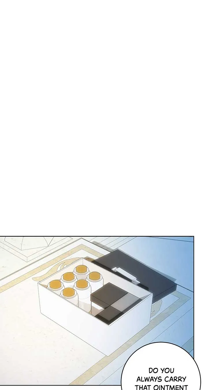 The Obsessive Emperor’s Capable Pharmacist Chapter 29 Online - página 45