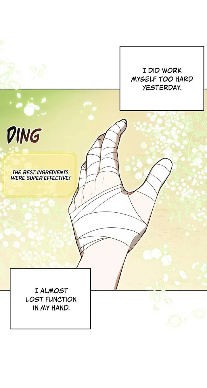 The Obsessive Emperor’s Capable Pharmacist Chapter 29 Online - página 85