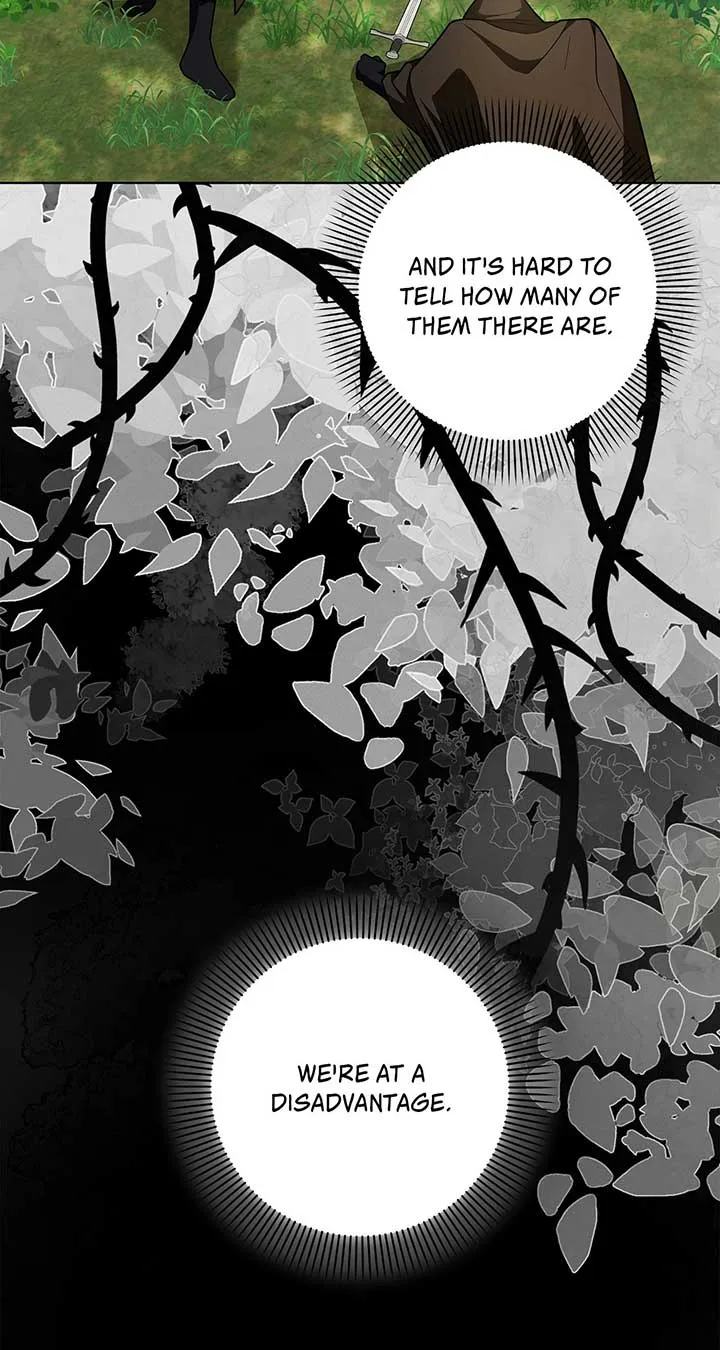 The Obsessive Emperor’s Capable Pharmacist Chapter 31 Online - página 15