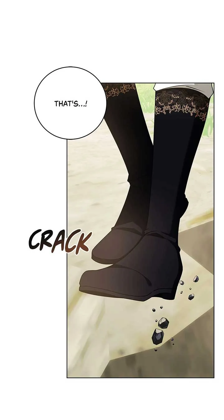 The Obsessive Emperor’s Capable Pharmacist Chapter 31 Online - página 24