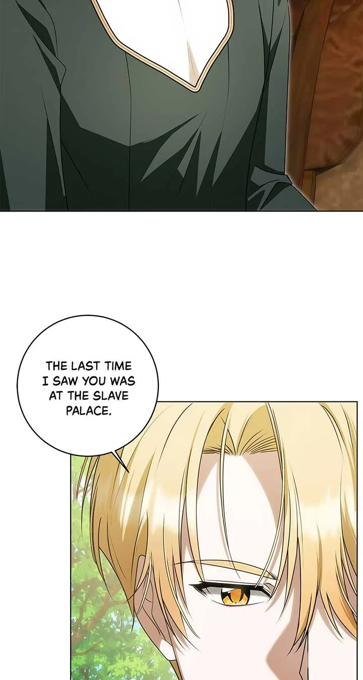 The Obsessive Emperor’s Capable Pharmacist Chapter 31 Online - página 45