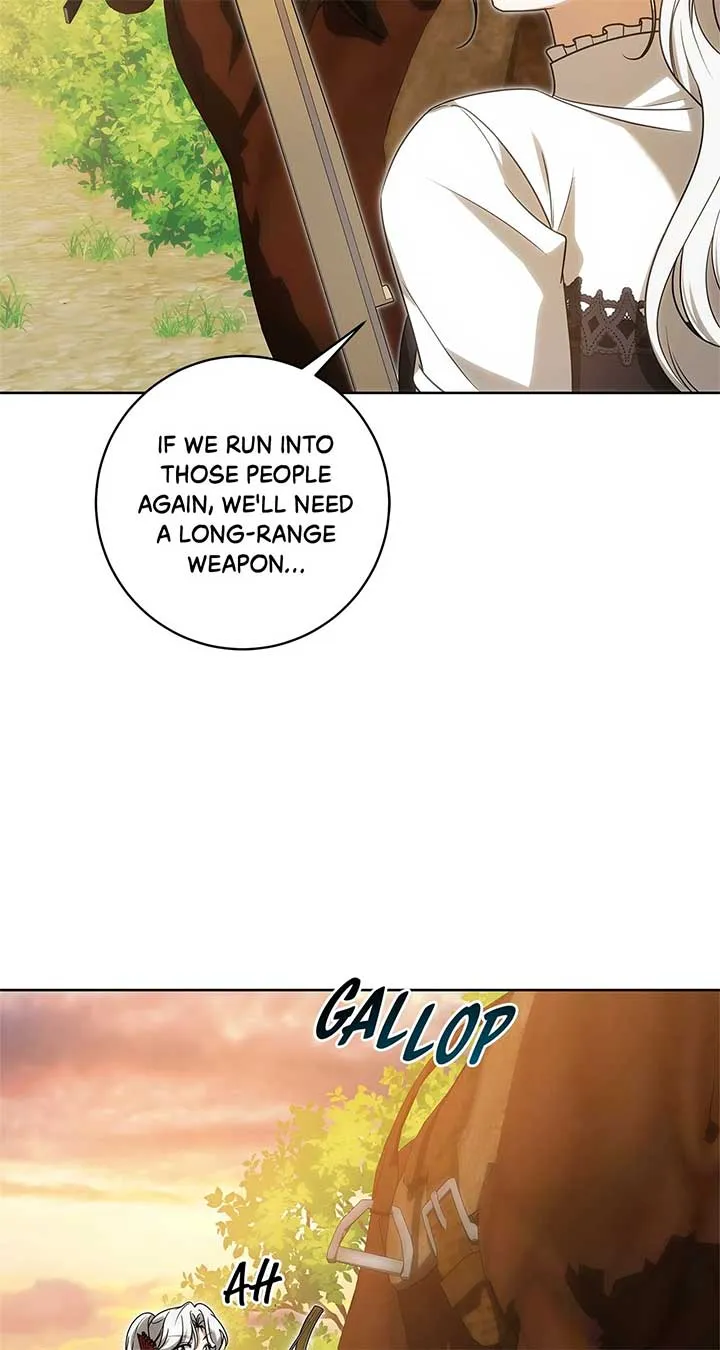 The Obsessive Emperor’s Capable Pharmacist Chapter 33 Online - página 53