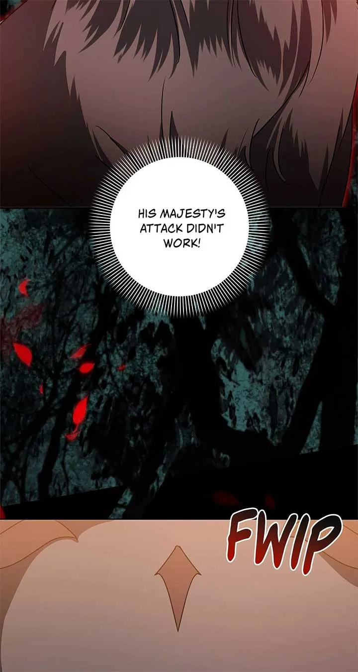 The Obsessive Emperor’s Capable Pharmacist Chapter 33 Online - página 70