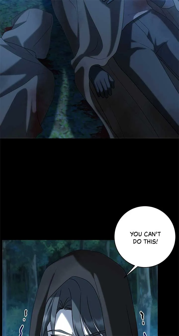 The Obsessive Emperor’s Capable Pharmacist Chapter 34 Online - página 62