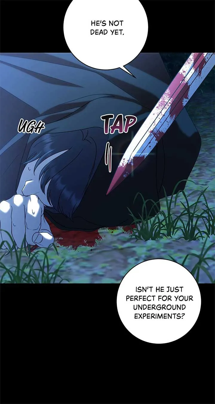 The Obsessive Emperor’s Capable Pharmacist Chapter 34 Online - página 71