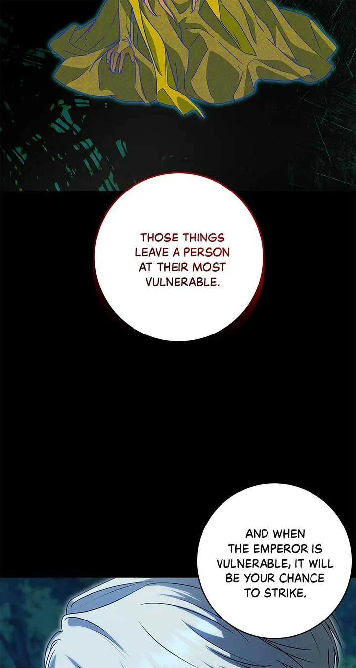 The Obsessive Emperor’s Capable Pharmacist Chapter 34 Online - página 78