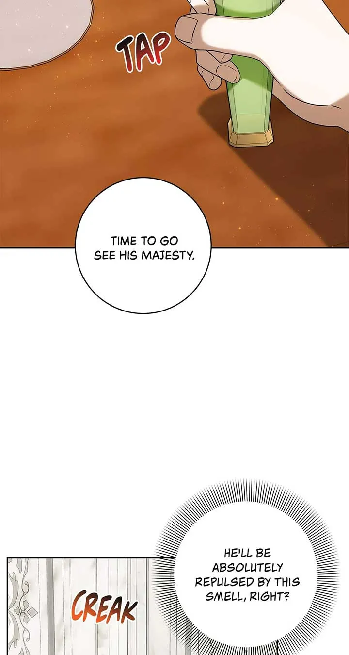 The Obsessive Emperor’s Capable Pharmacist Chapter 38 Online - página 52