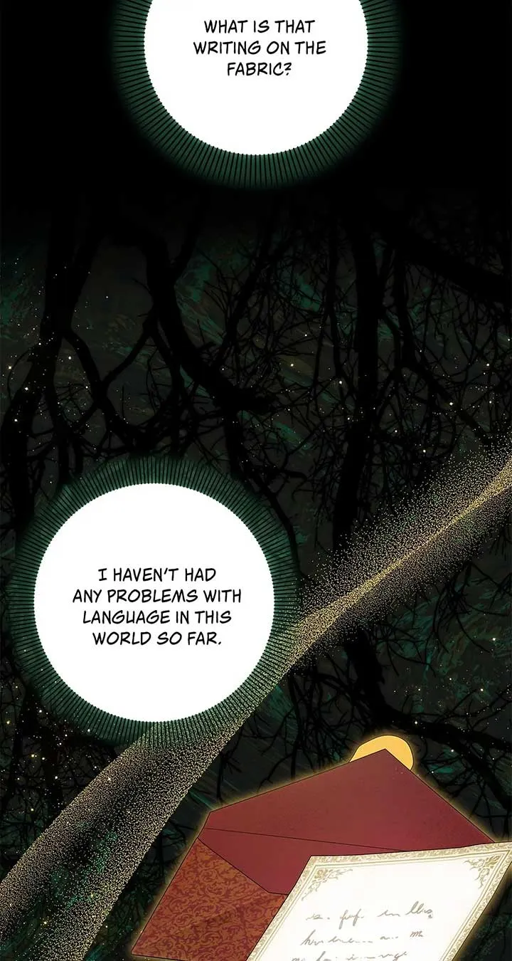 The Obsessive Emperor’s Capable Pharmacist Chapter 38 Online - página 74