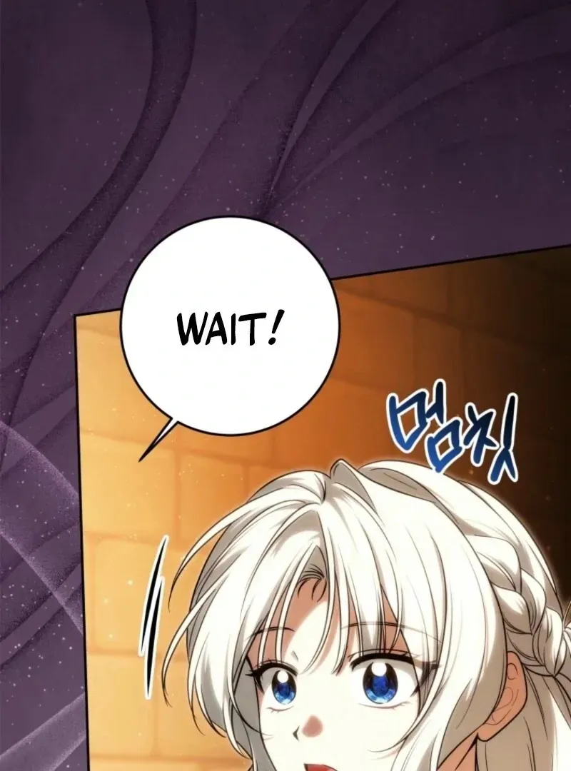 The Obsessive Emperor’s Capable Pharmacist Chapter 62 Online - página 113