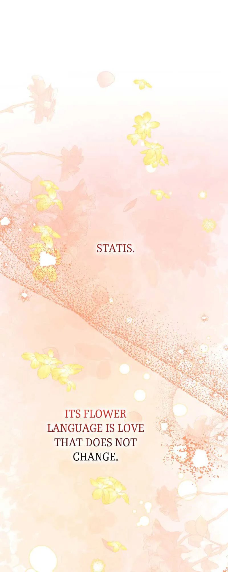The Obsessive Stud Scammed Me into Marriage Chapter 30 Online - página 46