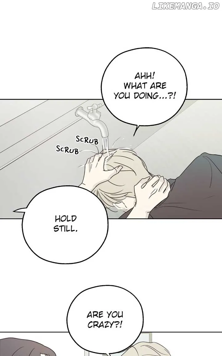 The Password Is 002! Chapter 27 Online - página 24