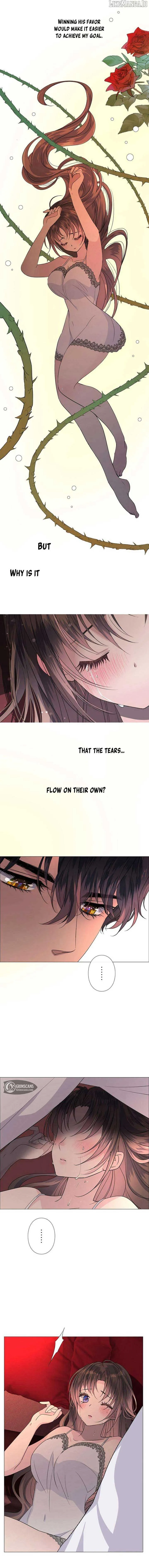 The Path Of The Briars In The Moonlight Chapter 5 Online - página 6