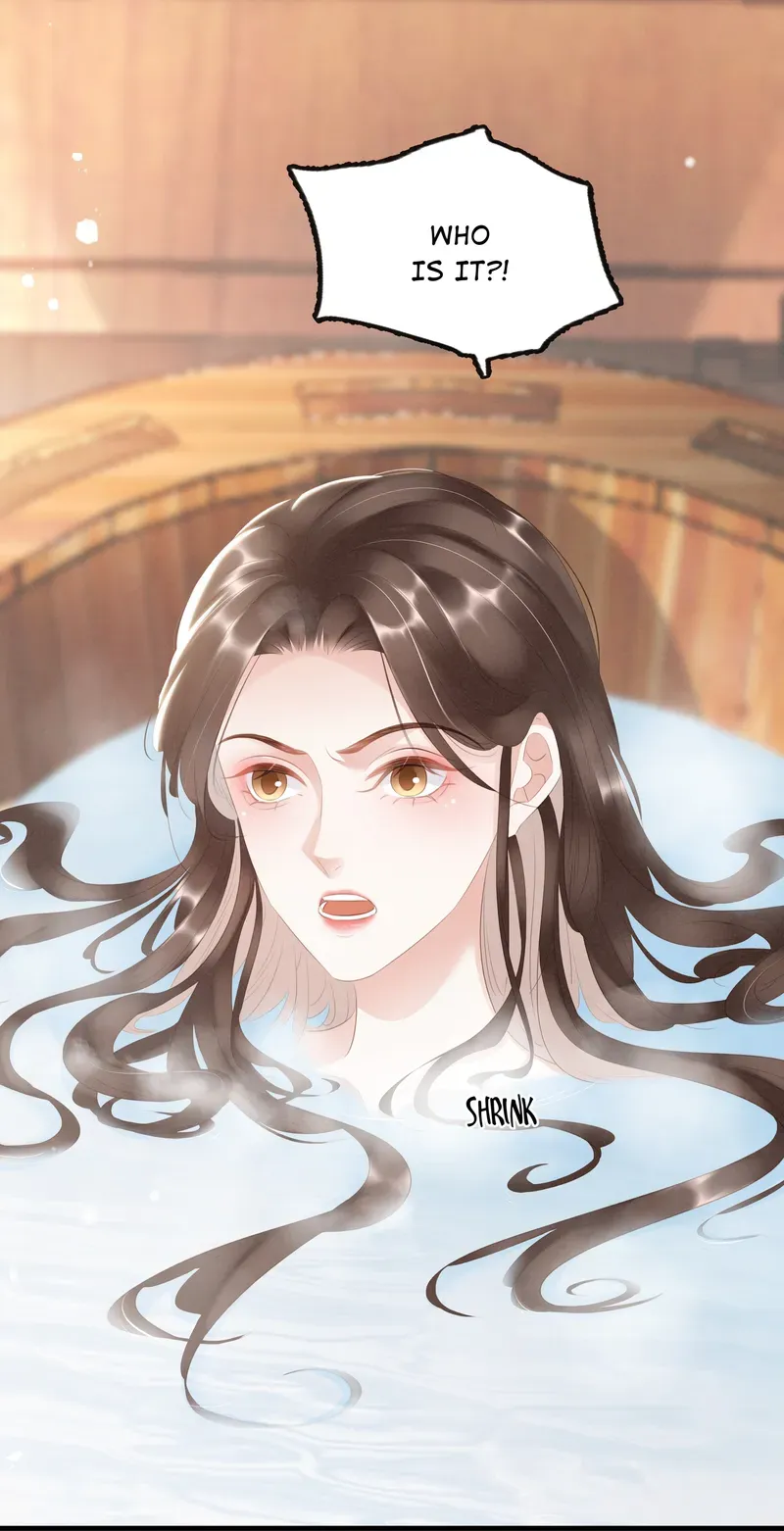 The Phoenix Consort Dominates the World Chapter 16 Online - página 32