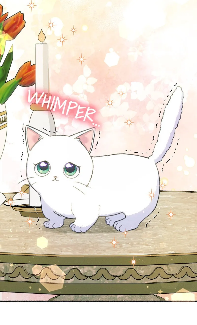 The Possesive Tyrant and His Sleepy Cat Chapter 1 Online - página 69