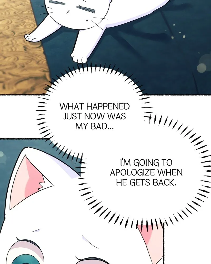 The Possesive Tyrant and His Sleepy Cat Chapter 11 Online - página 16