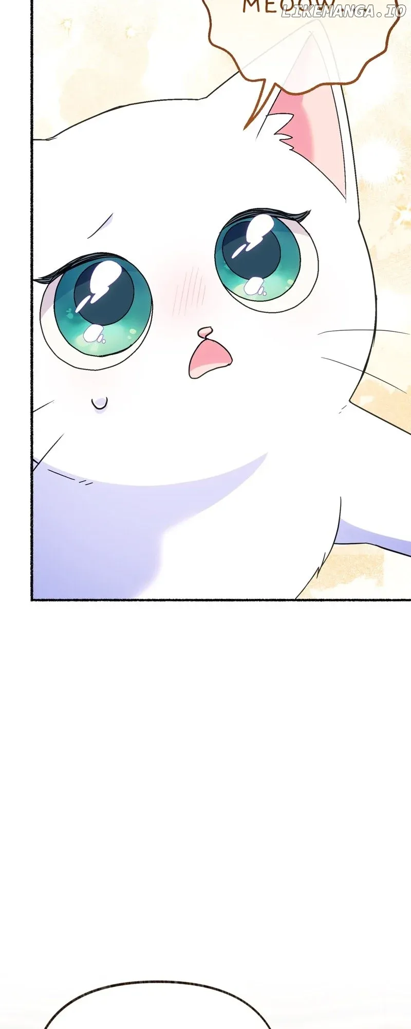The Possesive Tyrant and His Sleepy Cat Chapter 12 Online - página 7