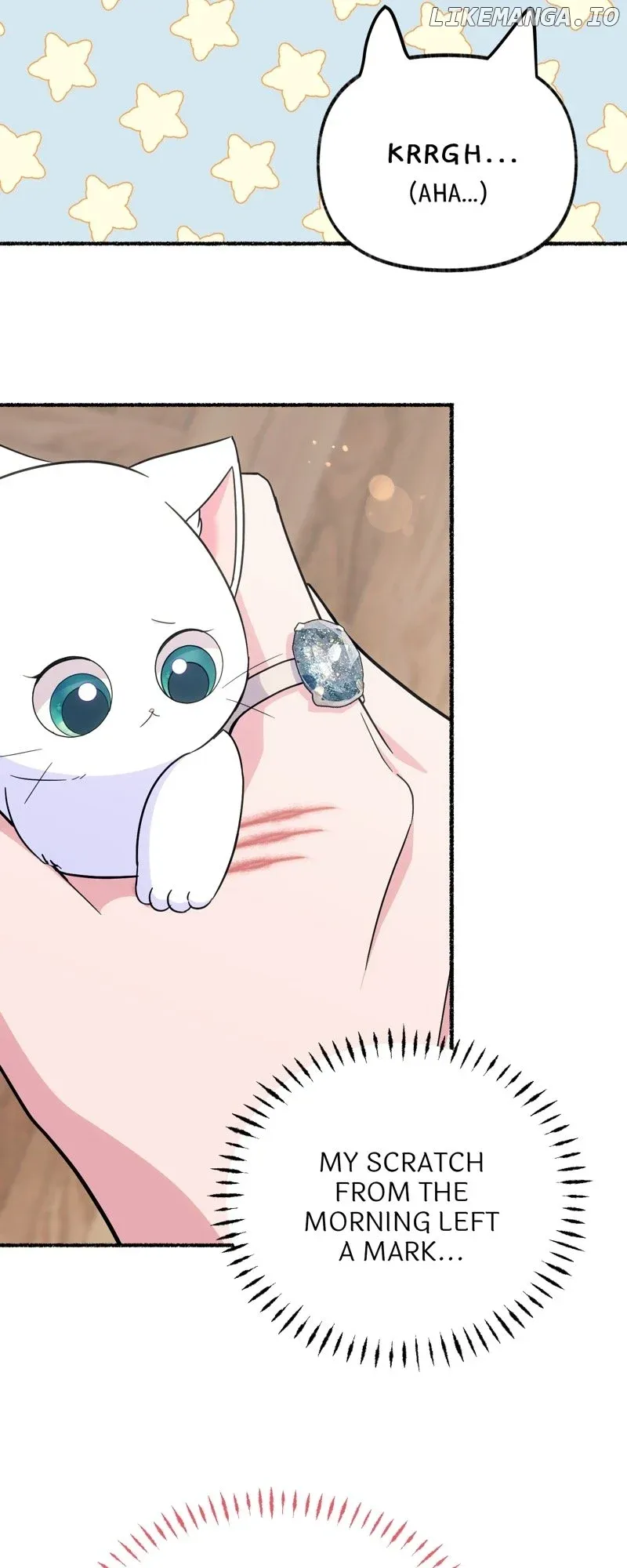 The Possesive Tyrant and His Sleepy Cat Chapter 12 Online - página 11