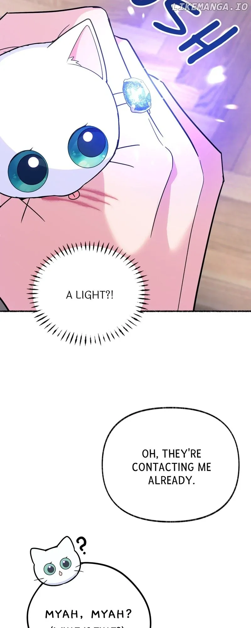 The Possesive Tyrant and His Sleepy Cat Chapter 12 Online - página 13